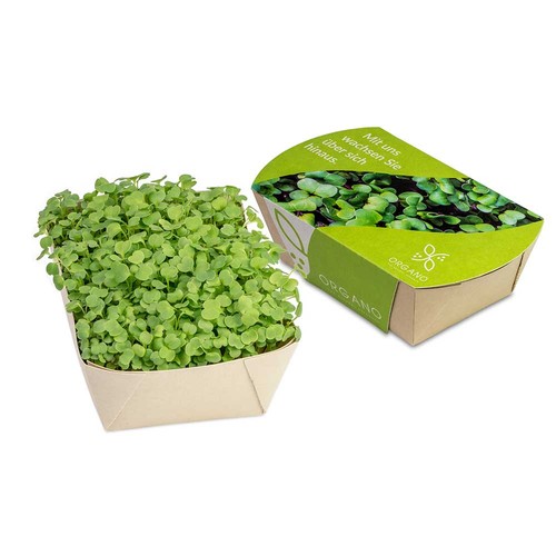 Microgreens-Garden - Arugula Microgreens-Garden - Arugula