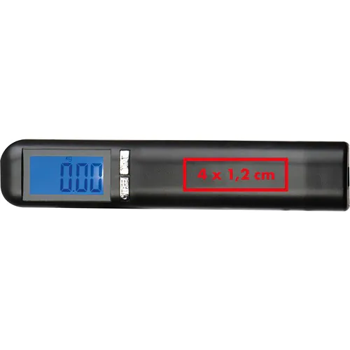 Luggage scale Lafayette