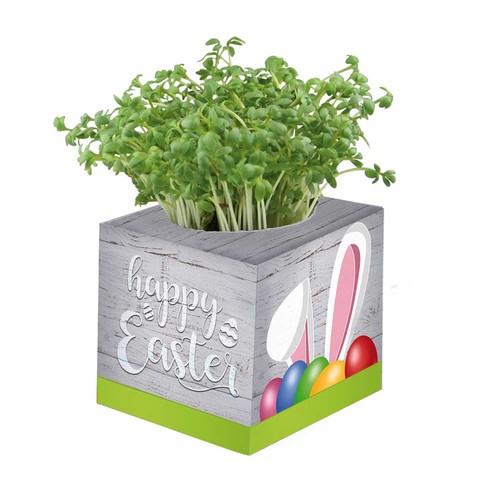 cubo publicitario cubo publicitario