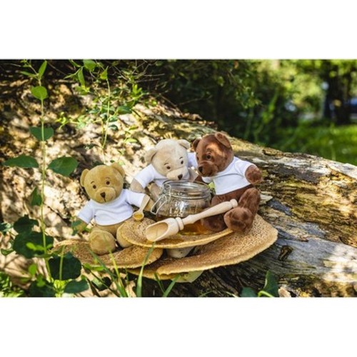 Teddybär mit T-Shirt | Siddy Honey