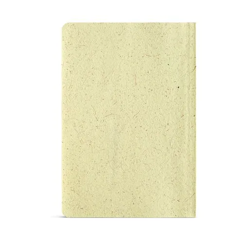 Lewis Notebook Lewis Notebook