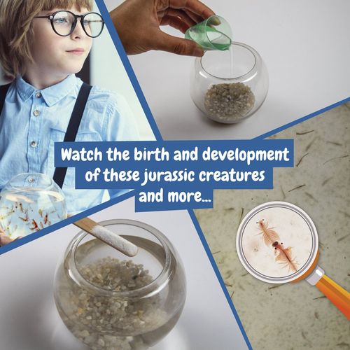 Jurassic Pets Kit I. Gra edukacyjna dla dzieci Jurassic Pets Kit I. Gra edukacyjna dla dzieci