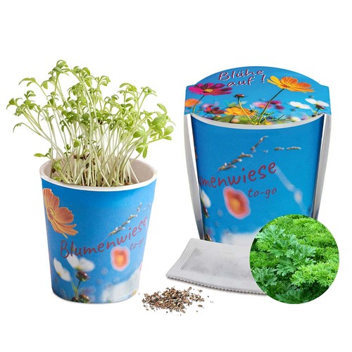 Flower meadow to-go - Parsley - neutral