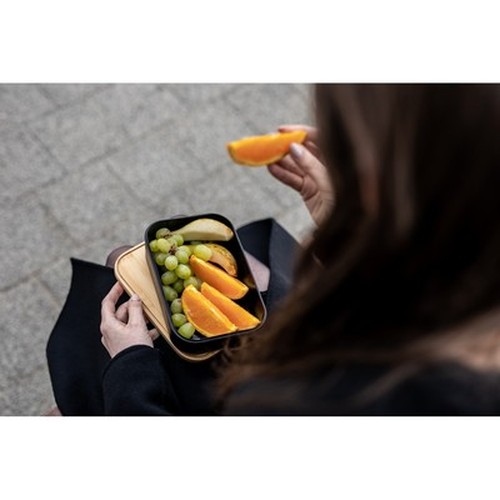 contenitore per il pranzo contenitore per il pranzo